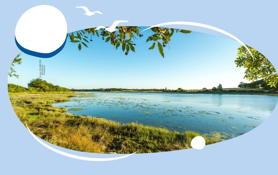 Séné, réserve naturelle des marais